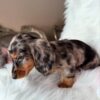 MARBLE